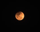 Source-feed image associated with Near total lunar eclipse will be seen from North and South America Thursday night