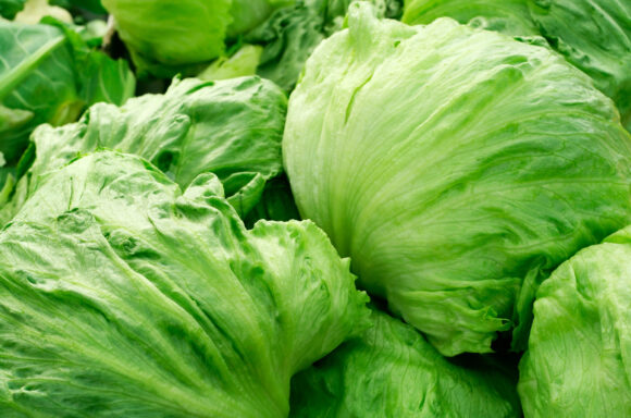 Source-feed image associated with US Widens Lettuce-Related Cyclosporiasis Probe to 20 States