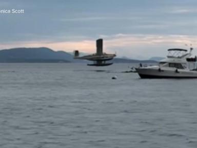Source-feed image associated with WATCH: Dramatic rescue after seaplane crashes, bursts into flames
