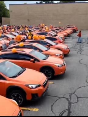 Image from linked report: WATCH: Annual orange car parade grows in popularity