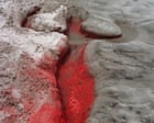 Source-feed image associated with Ana Mendieta review – were she still alive she’d be at the forefront of art in this century