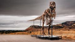 Source-feed image associated with T. rex could become most expensive fossil ever - but it's a ​problem for scientists