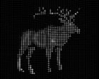 Image from linked report: Using AI to ‘talk to animals’ might make us feel clever – but what, if anything, does it do for them?