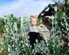 Source-feed image associated with The Australian Photography awards 2026 – in pictures