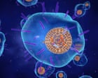 Source-feed image associated with Shingles vaccine linked to lower risk of heart attack and stroke, study finds