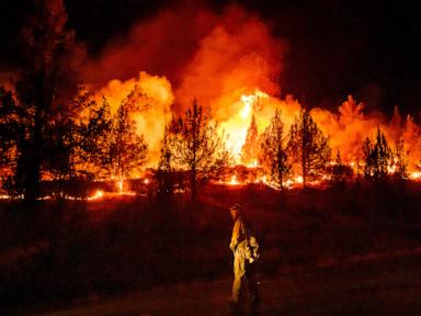 Source-feed image associated with Wildfires are more extreme in Europe and North America