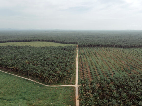 Source-feed image associated with El Niño, War Raise Asia’s Food Security Risks, Verisk Maplecroft Says