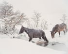 Source-feed image associated with Strong, silent types? Meet the puesteros of Chile – in pictures