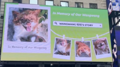 Source-feed image associated with Blocked by censors, China's animal lovers take fight against abuse offline and overseas