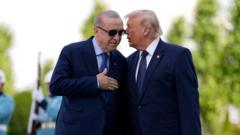 Source-feed image associated with Trump looms large as Nato grapples with challenge of rearming Europe