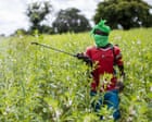 Source-feed image associated with Almost half of world’s farmers poisoned by pesticides every year, experts find