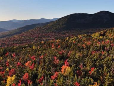 Image from linked report: WATCH: Fall foliage fever grows in Northeast
