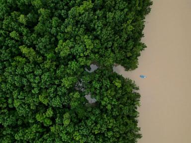 Source-feed image associated with Brazilian government commits $617.5M to Amazon ecological investment