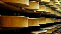 Source-feed image associated with France relaxes strict cheese-making rules after prolonged drought