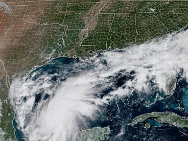Image from linked report: Hurricane Isaias is expected to get stronger on its way to Florida, Alabama and Mississippi coasts