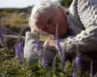 Source-feed image associated with The Summer Book review – Glenn Close powers sweet-natured take on Tove Jansson’s grief classic
