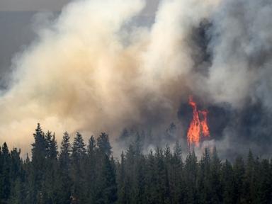 Source-feed image associated with Oregon fire looms near town as fourth firefighter dies weeks after Colorado blaze