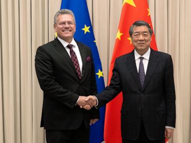 Image from linked report: EU and China strike interim trade deal which could cut Chinese hybrid exports by half, EU trade envoy says