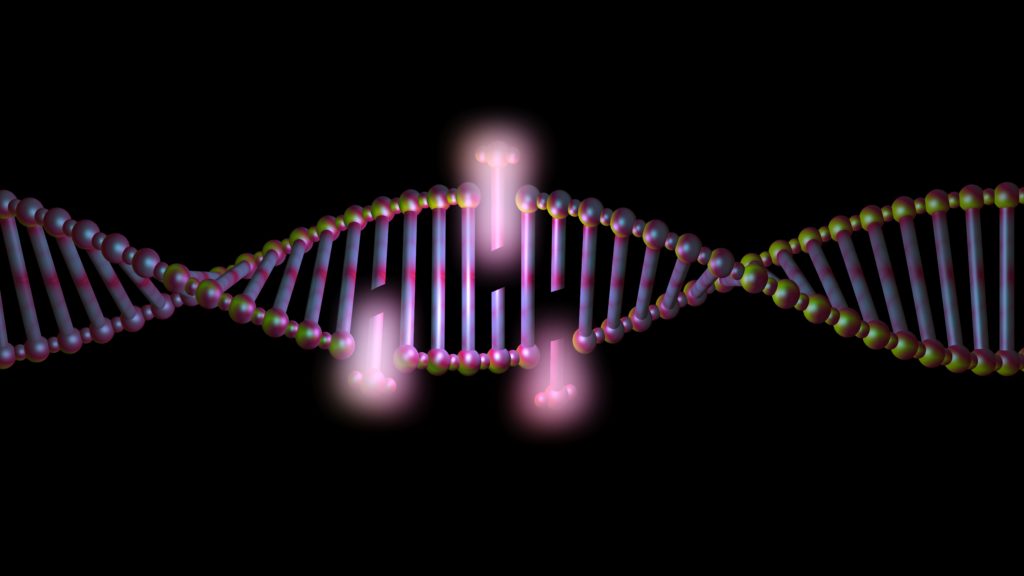 Source-feed image associated with STAT+: Fatal gene-editing trial in China raises ethics and oversight questions