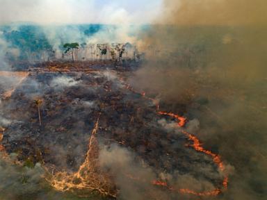 Image from linked report: New firefighting fund launches but funding gap remains as wildfires worsen worldwide
