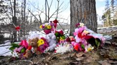 Image from linked report: Canadian province sues OpenAI over Tumbler Ridge school shooting