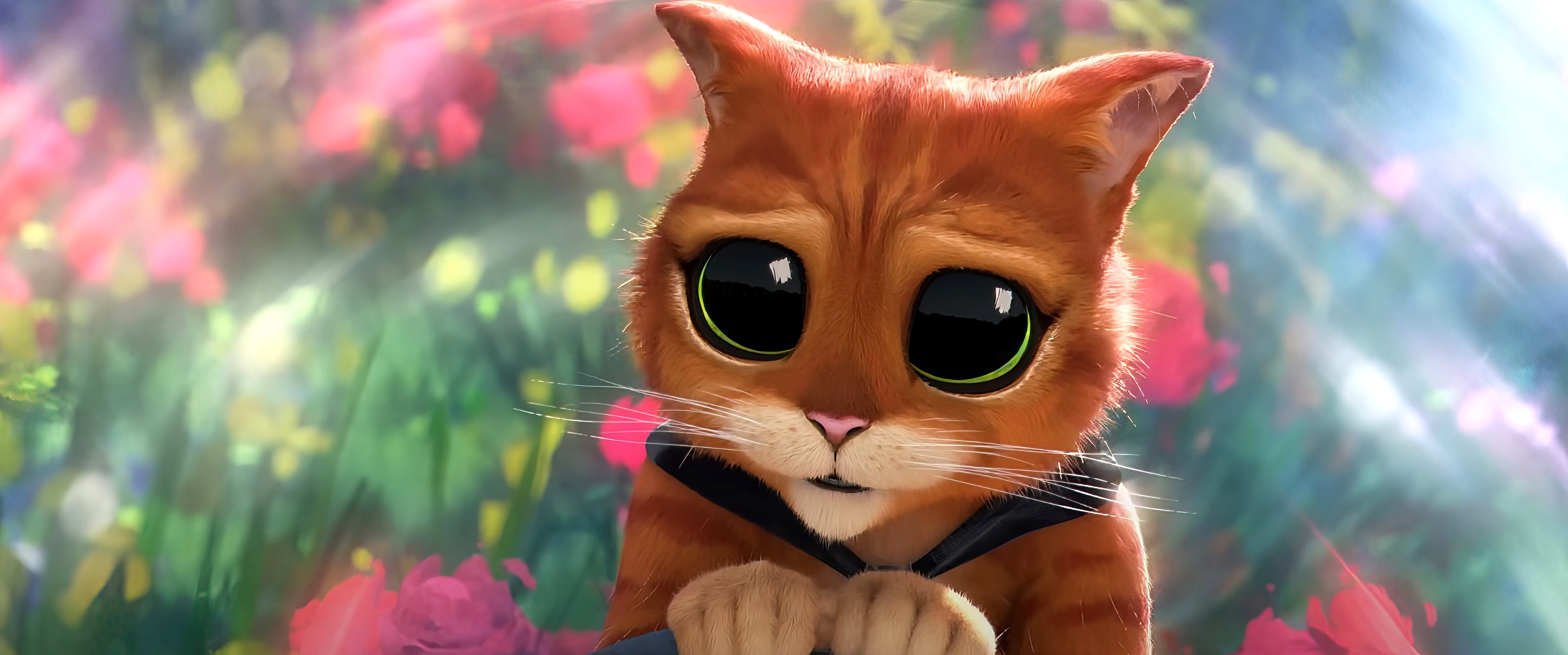 Source-feed image associated with DreamWorks Remote Workers Ratify First Union Agreement With the Animation Guild