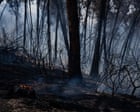 Source-feed image associated with Fast-spreading wildfire kills at least 12 in southern Spain