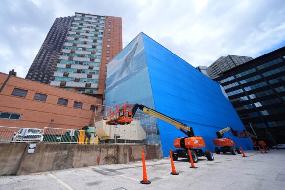 Source-feed image associated with Artist Suing FIFA Over Destruction of Dallas Whale Mural