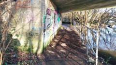 Source-feed image associated with Teen rapists spared jail partly because of intellectual limitations, judge's full remarks show