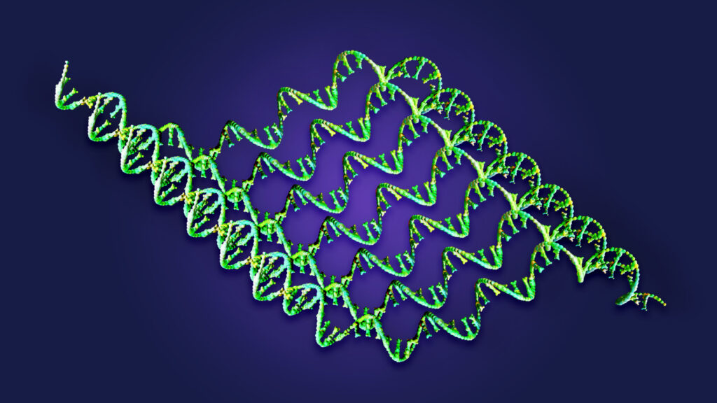 Source-feed image associated with What’s in Merck and Moderna’s cancer vaccine algorithm?