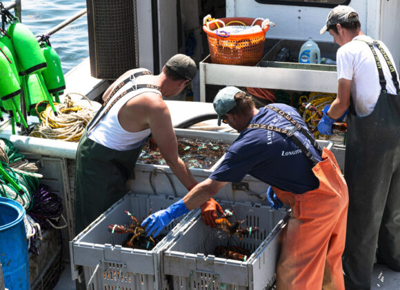 Source-feed image associated with Appeals Court Says Lobstermen’s Defamation Suit Raises First Amendment Questions