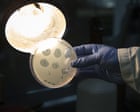 Source-feed image associated with Safety fears as scientists make first viruses designed by AI