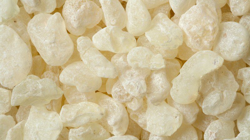 Source-feed image associated with No, mastic gum won’t reshape your jaw