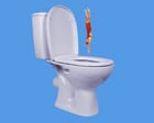 Source-feed image associated with Why do you always feel like you have to pee when swimming?