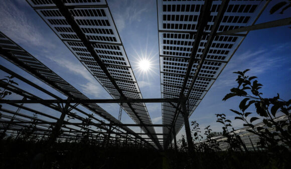 Source-feed image associated with Solar Power Hits New Milestones in the US
