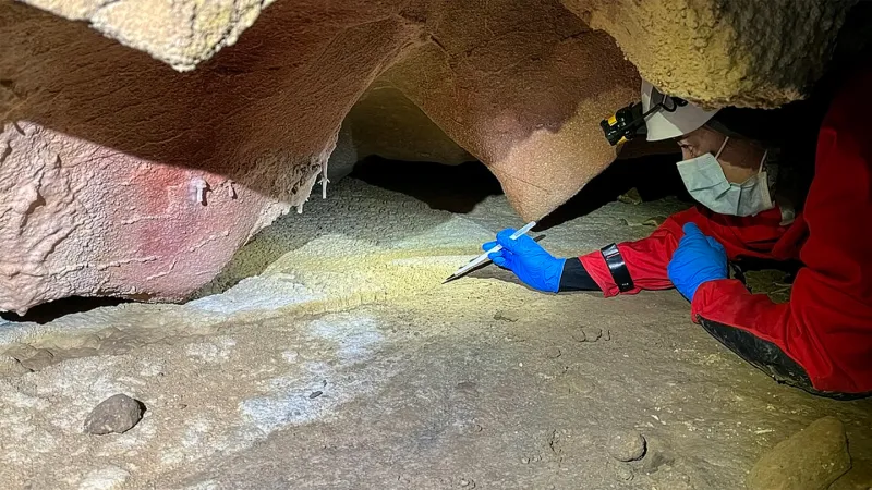 Source-feed image associated with In painted caves, ancient human DNA clings to the walls