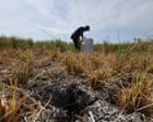 Source-feed image associated with ‘Supersizing before our eyes’: UN warns of record El Niño approaching