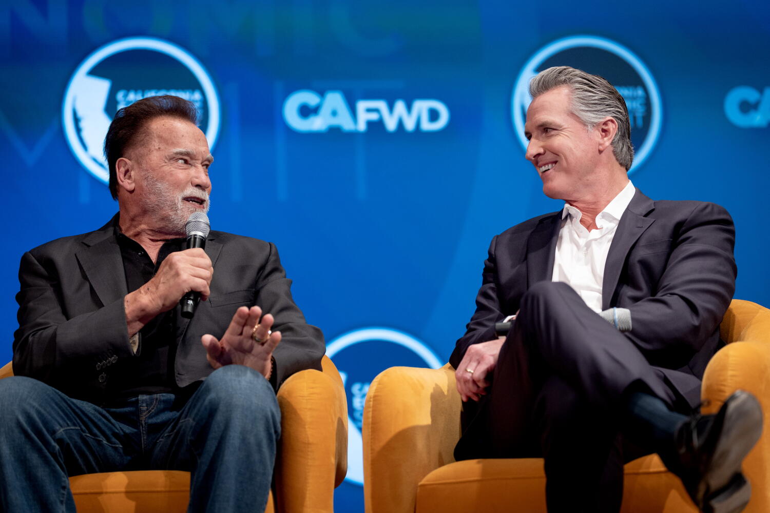 Image from linked report: A little bipartisan bromance as Schwarzenegger, Newsom laud California's climate-change wins
