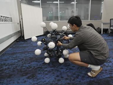 Source-feed image associated with Meet Argus, a robot with 20 legs and eyes built to move and see in any direction