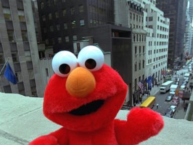 Source-feed image associated with Bingo, Tickle Me Elmo nominated for Toy Hall of Fame. Will Care Bears also make it?