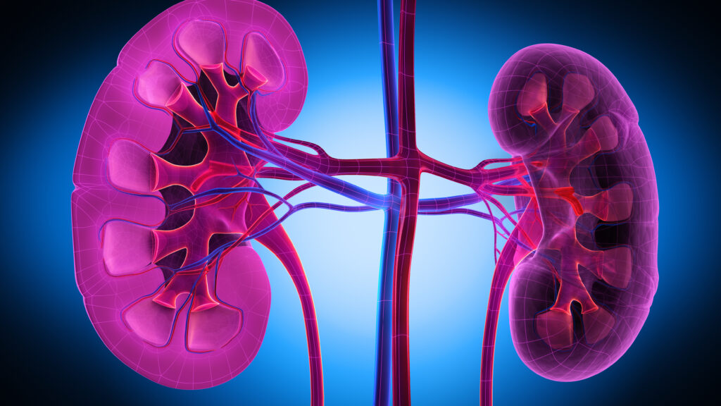 Source-feed image associated with STAT+: FDA approves Vera Therapeutics kidney disease treatment